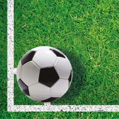 Ubrousky papírové fotbal 20ks, 33x33cm